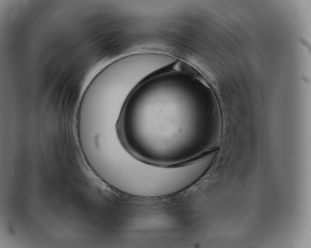 X0000091290960200708241026