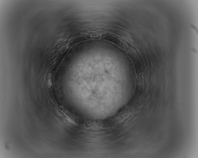 X0000091290962200708241025