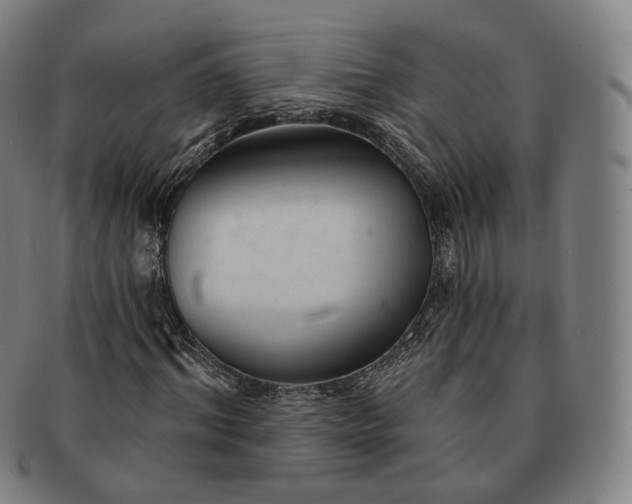 X0000091290964200708241025