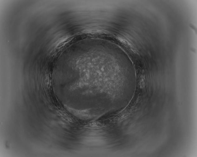 X0000091290966200708241025