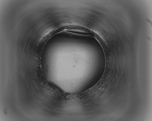 X0000091290967200708241025