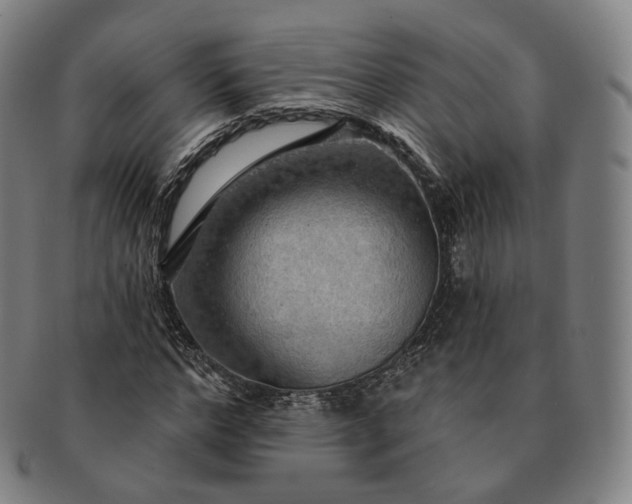 X0000091290968200708241025