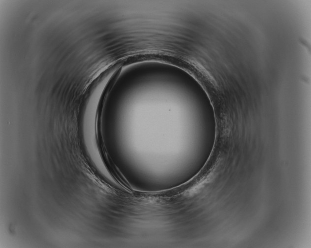 X0000091290969200708241025