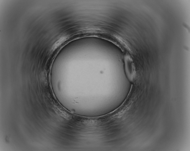 X0000091290970200708241025