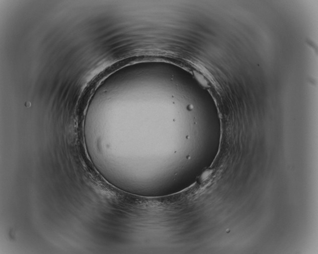 X0000091290971200708241025