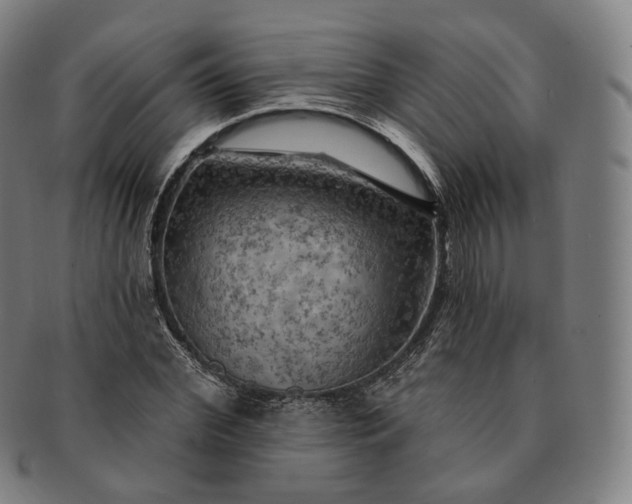 X0000091290972200708241025