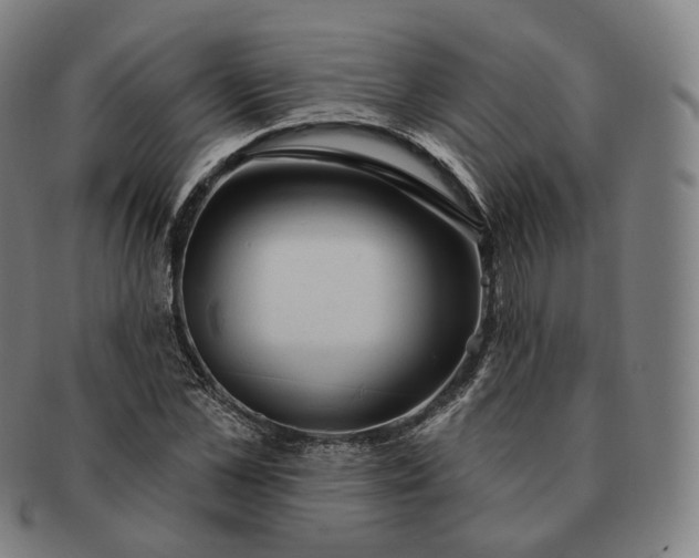 X0000091290973200708241025