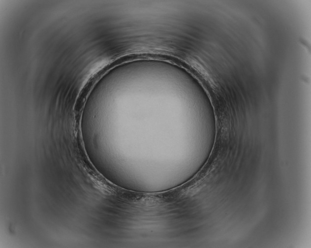 X0000091290974200708241025