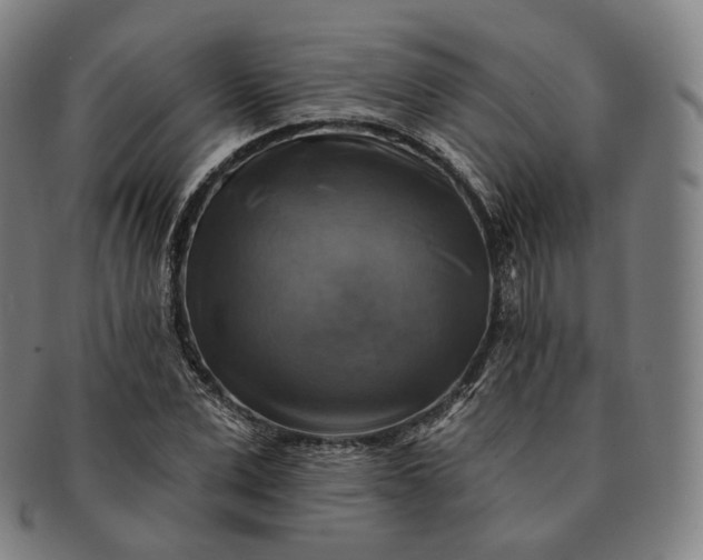 X0000091290975200708241025