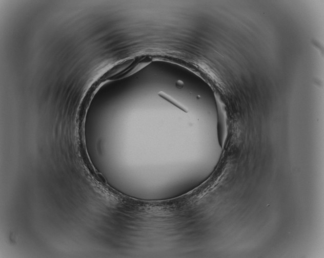 X0000091290976200708241025