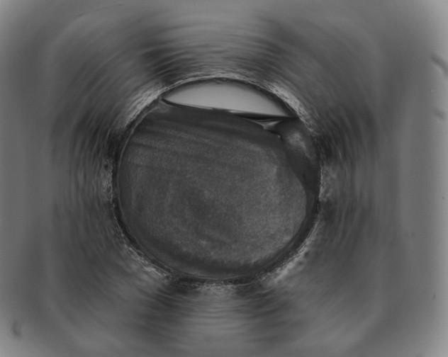 X0000091290977200708241025