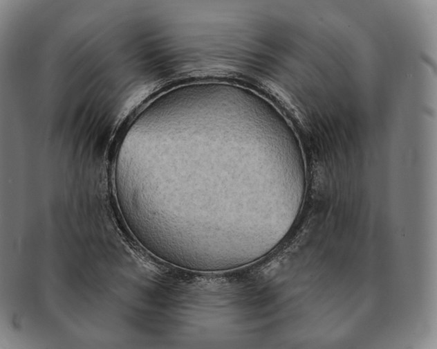 X0000091290978200708241025