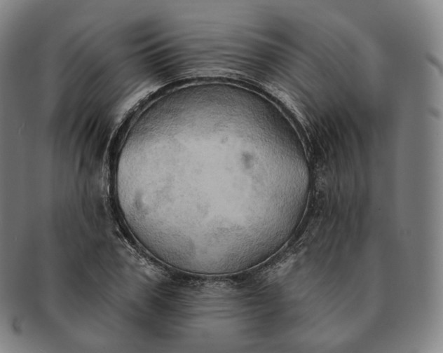 X0000091290979200708241025