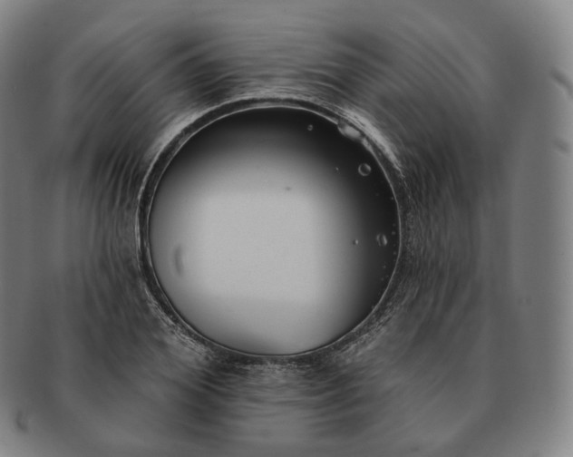 X0000091290980200708241025