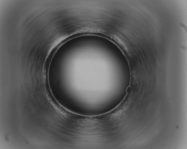 X0000091290981200708241025