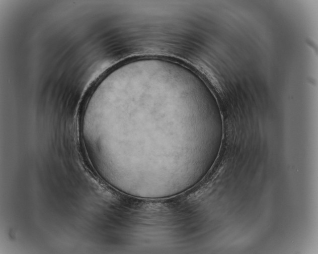 X0000091290982200708241025