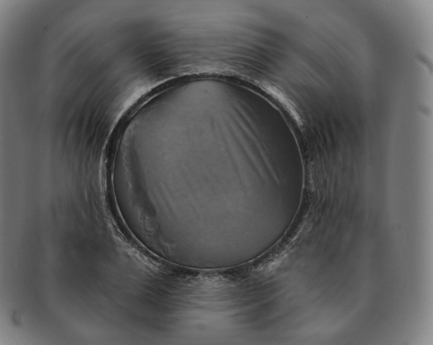 X0000091290983200708241025