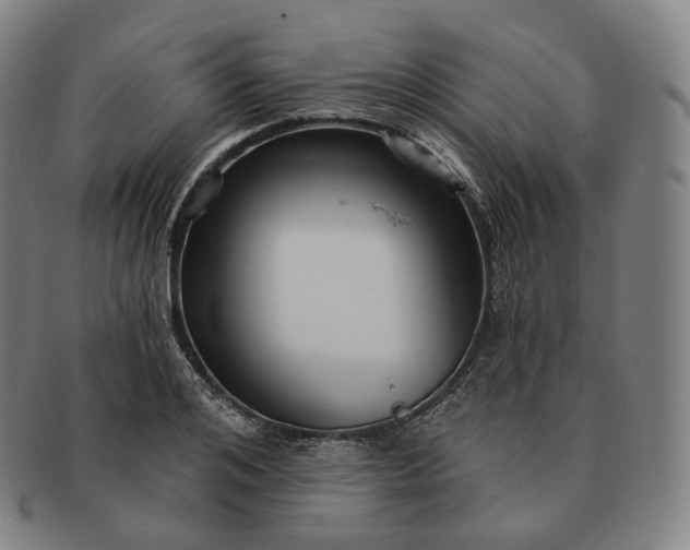 X0000091290984200708241025