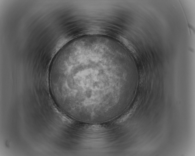 X0000091290986200708241025