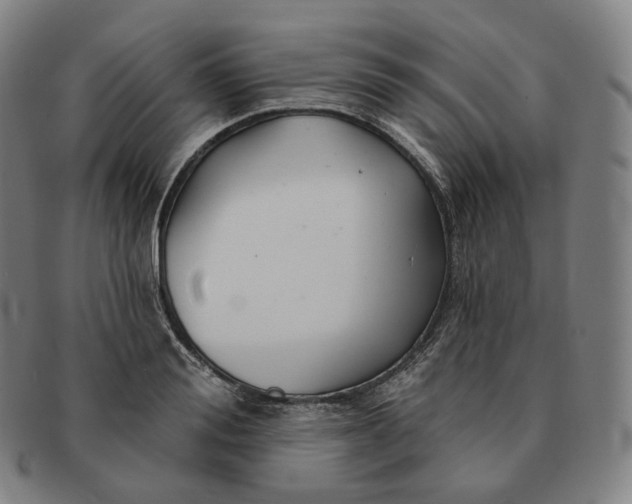 X0000091290988200708241025