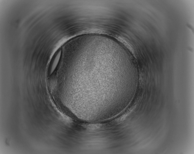 X0000091290989200708241025