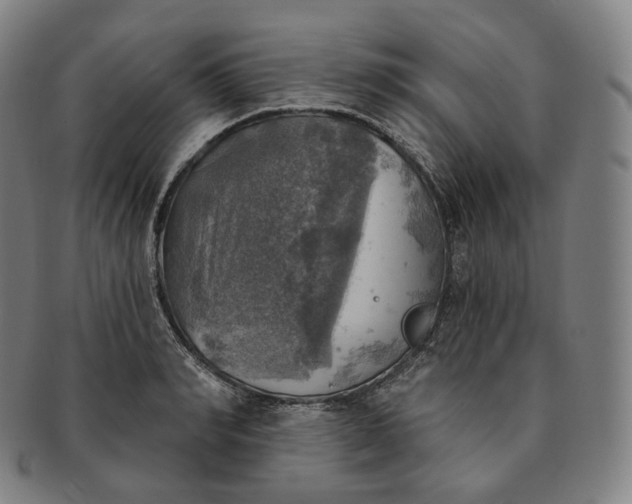 X0000091290990200708241025