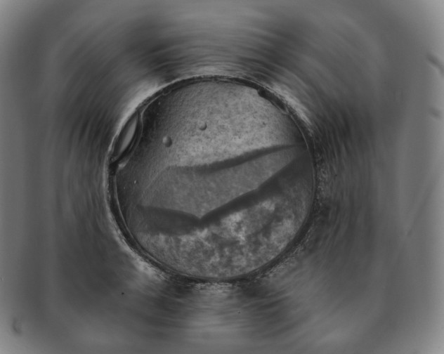 X0000091290991200708241025