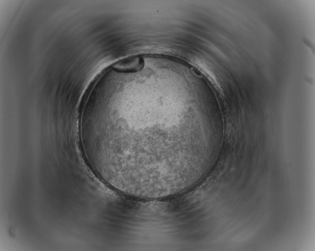 X0000091290992200708241025