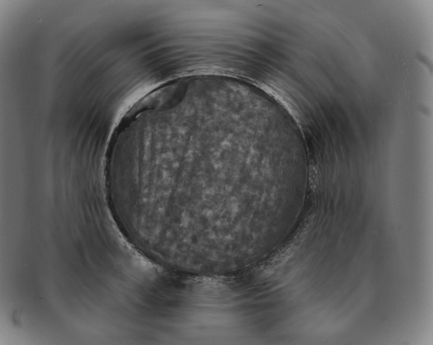 X0000091290995200708241025