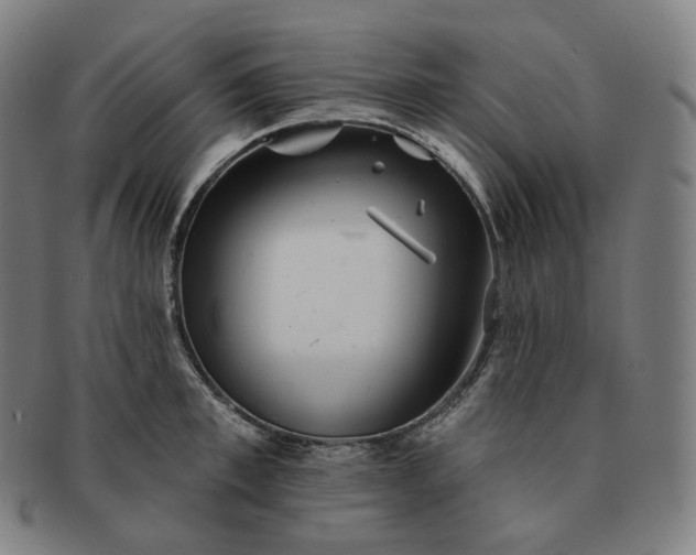 X0000091290997200708241025