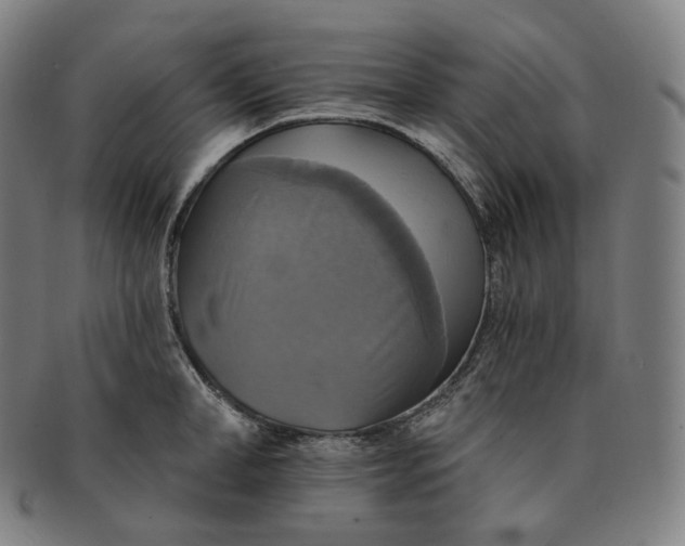 X0000091290998200708241025