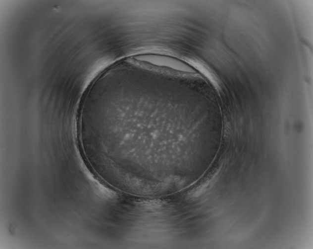 X0000091290999200708241025