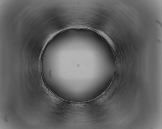 X0000091291004200708241025