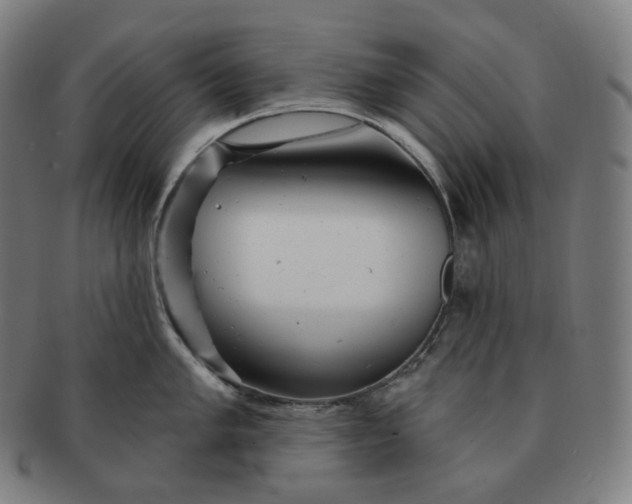 X0000091291005200708241024