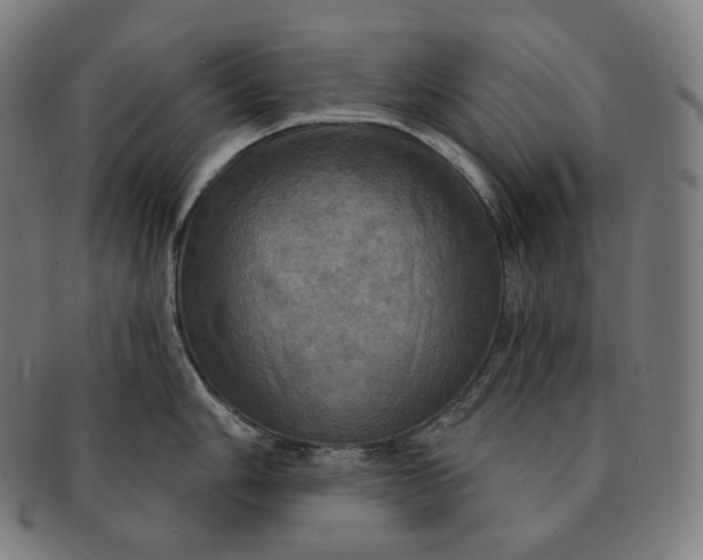 X0000091291006200708241024