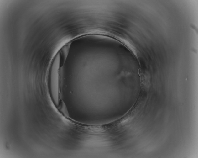 X0000091291007200708241024