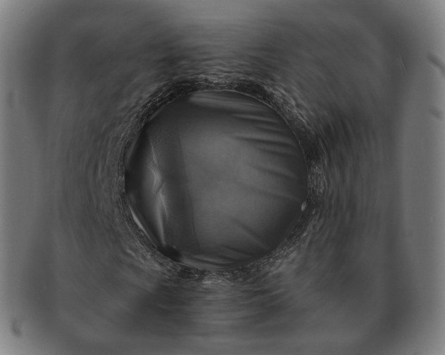 X0000091291009200708241024