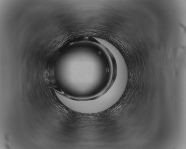 X0000091291010200708241024