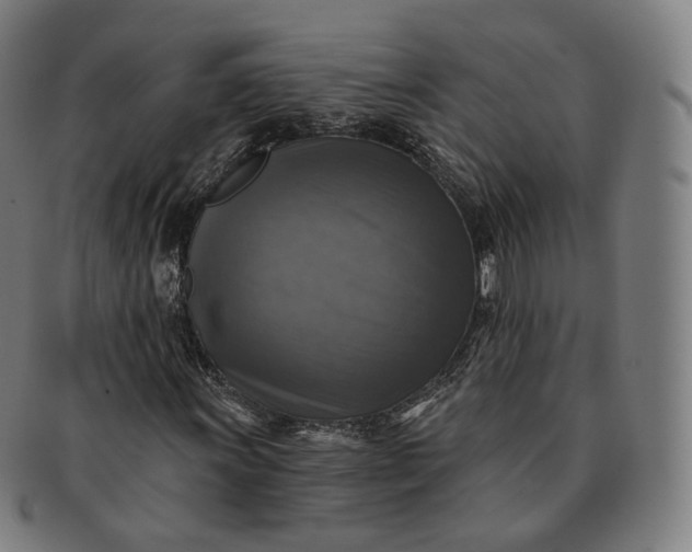 X0000091291011200708241024