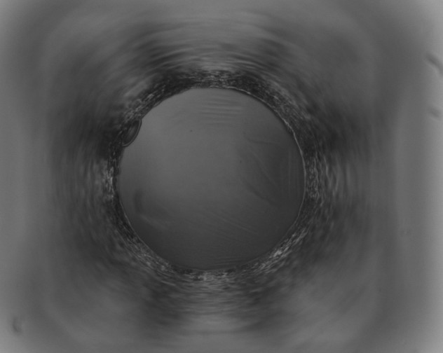 X0000091291013200708241024