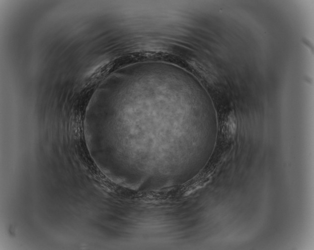 X0000091291014200708241024