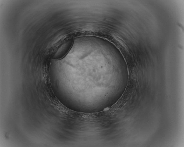 X0000091291015200708241024