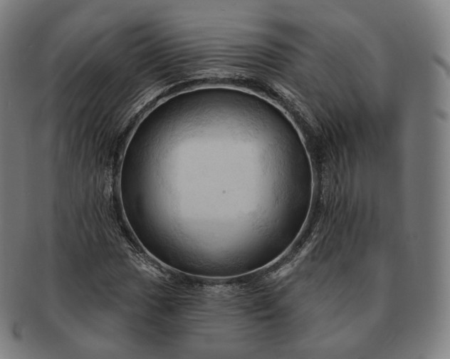 X0000091291017200708241024