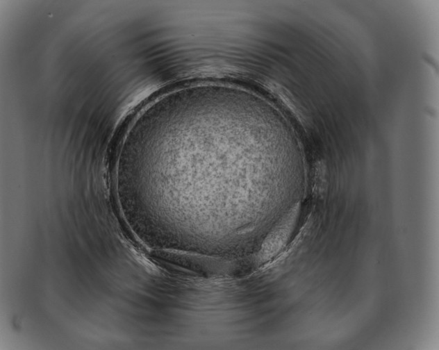 X0000091291018200708241024