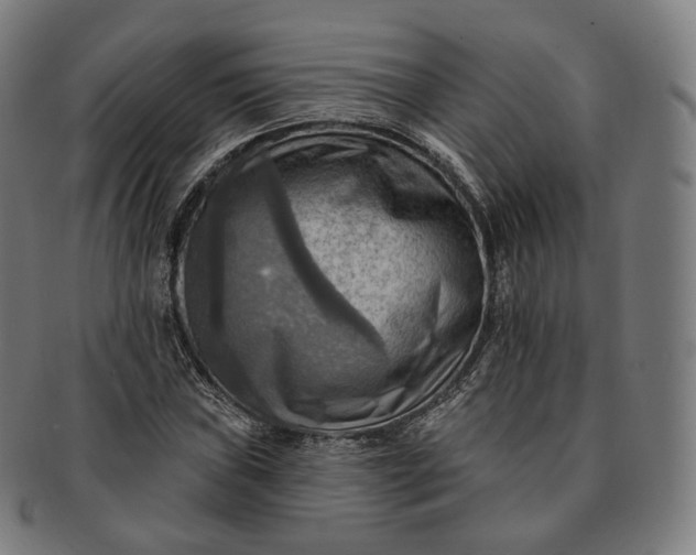 X0000091291019200708241024