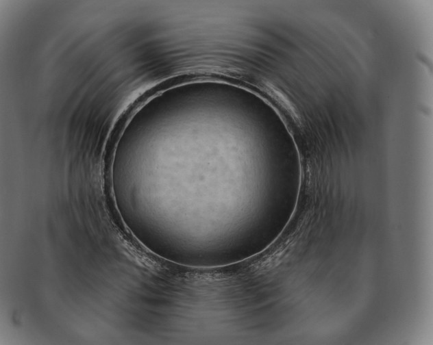 X0000091291020200708241024