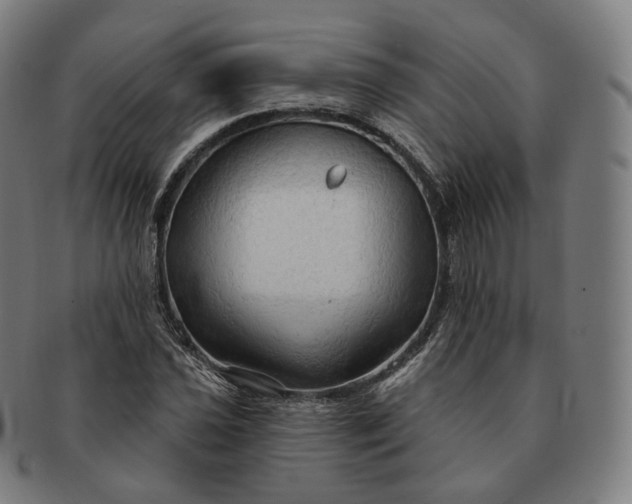 X0000091291021200708241024