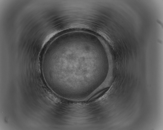 X0000091291022200708241024