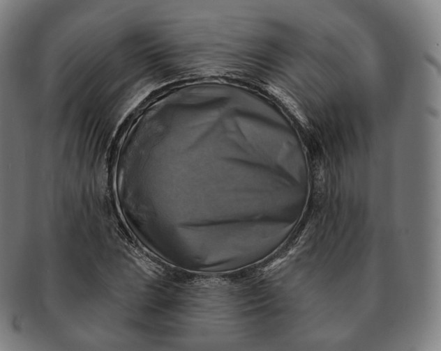 X0000091291023200708241024