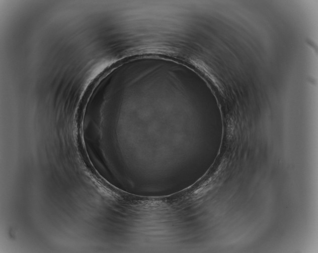 X0000091291024200708241024